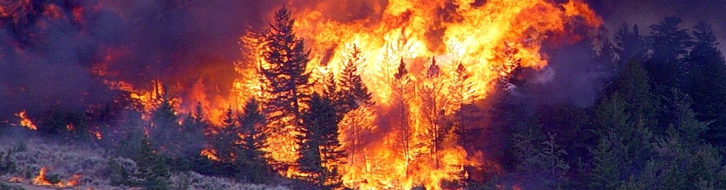 Climate Disruptions and the COVID Pandemic
