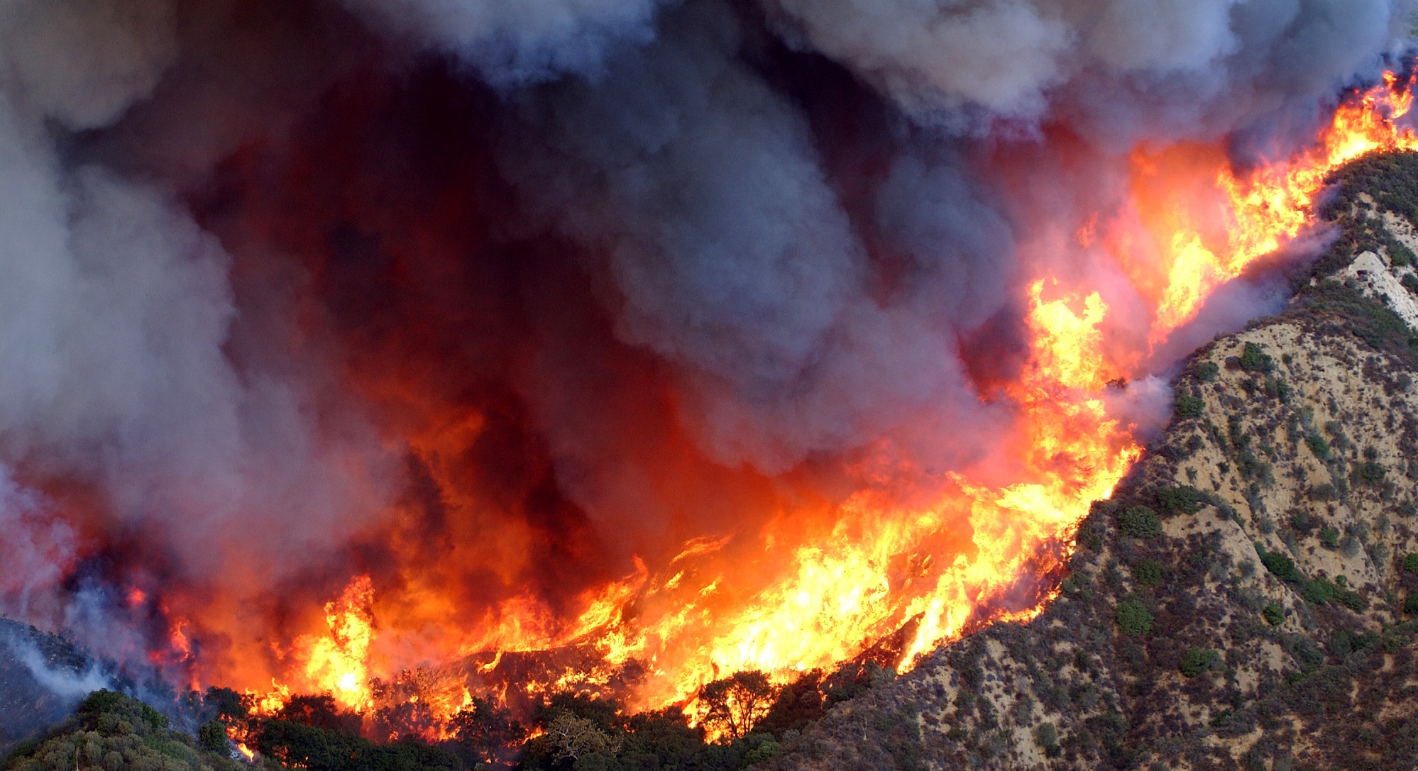 Wildfires and Climate Warming