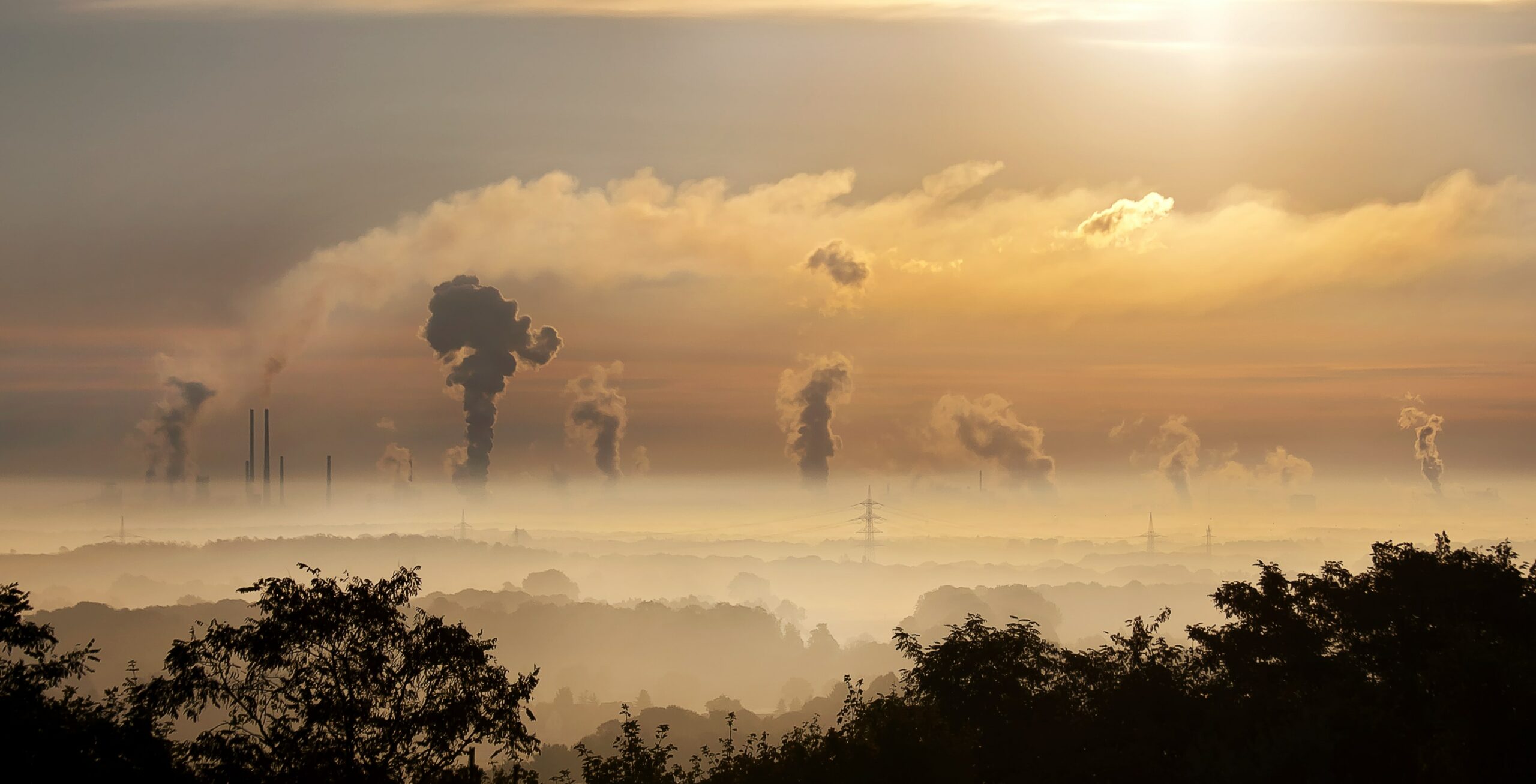 Did the COVID Lockdown Slow Down Climate Warming?