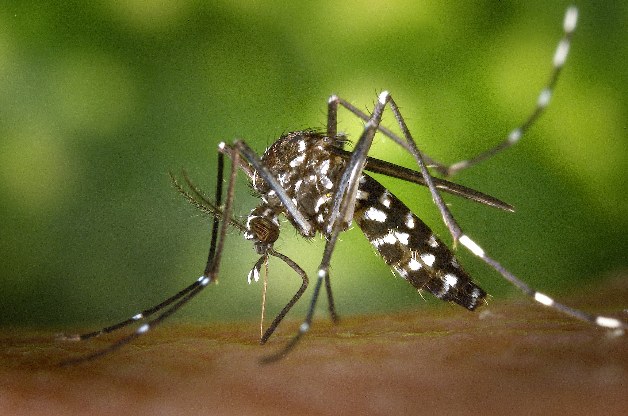 Global Health in a Changing Climate