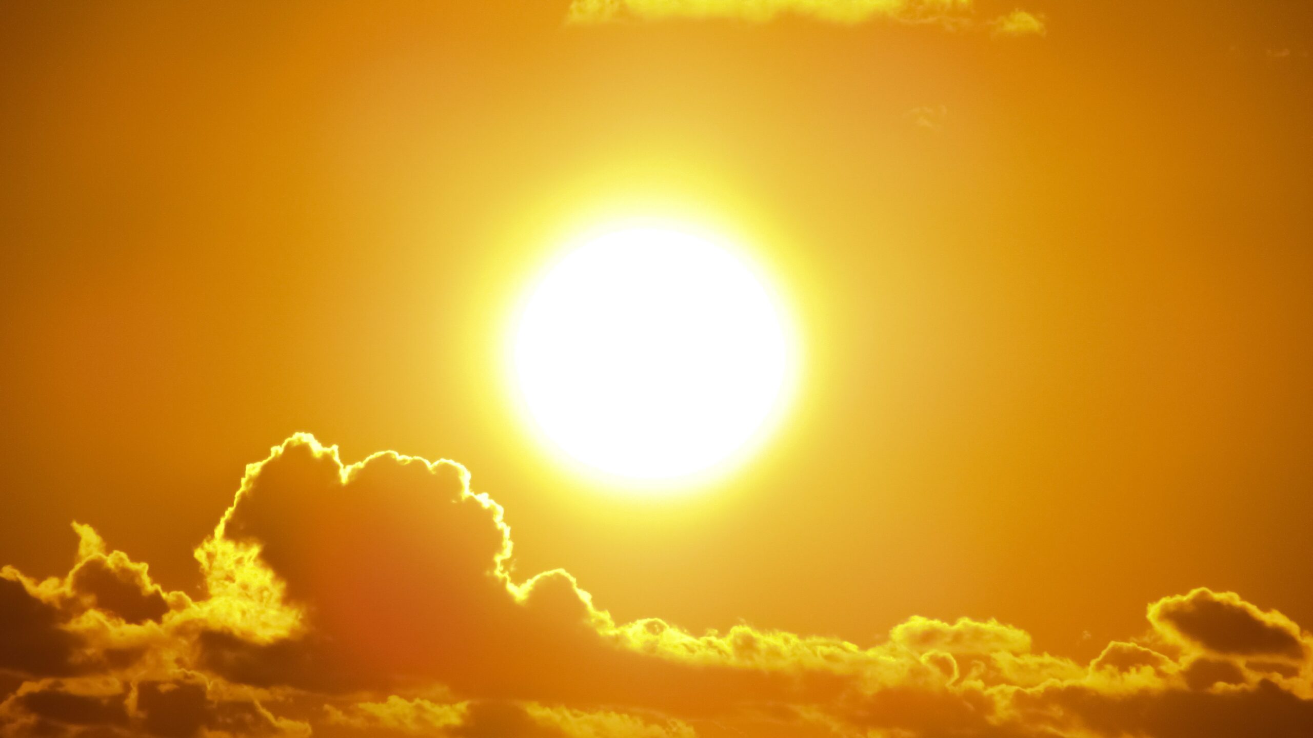 2020 Ties for Global Temperature Record