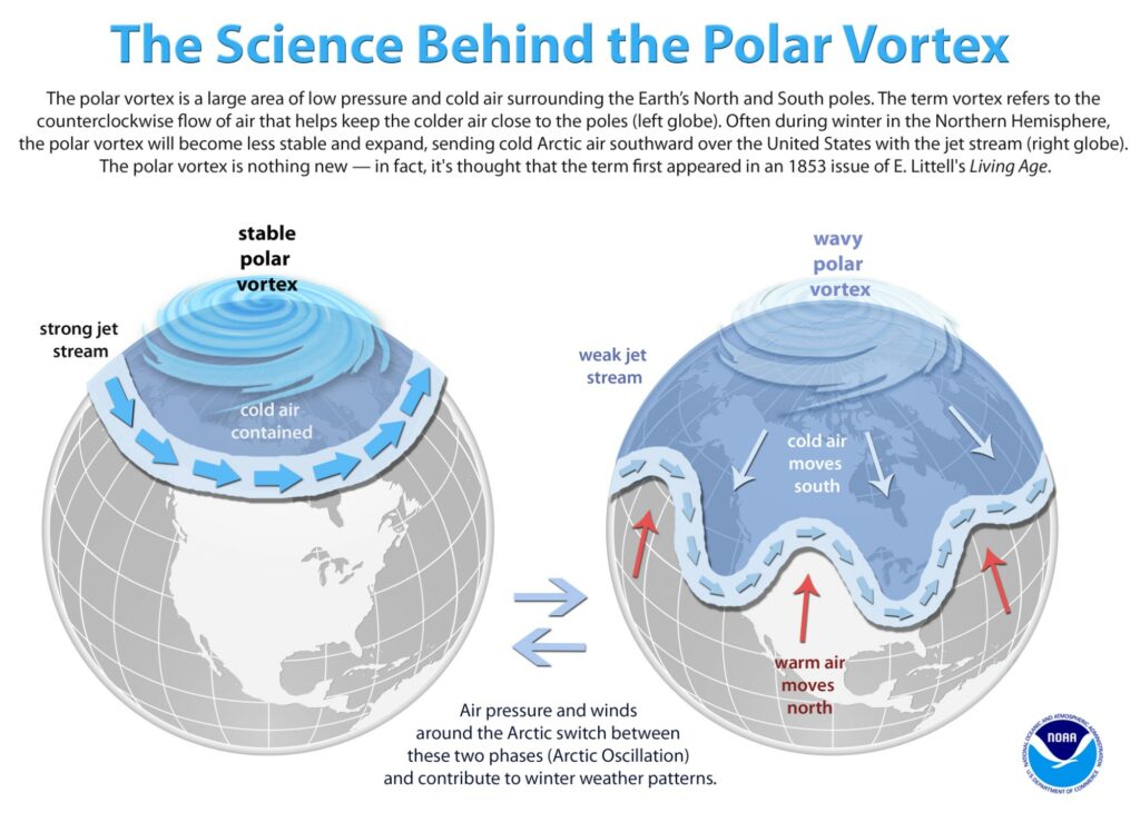 polar vortex oscillations