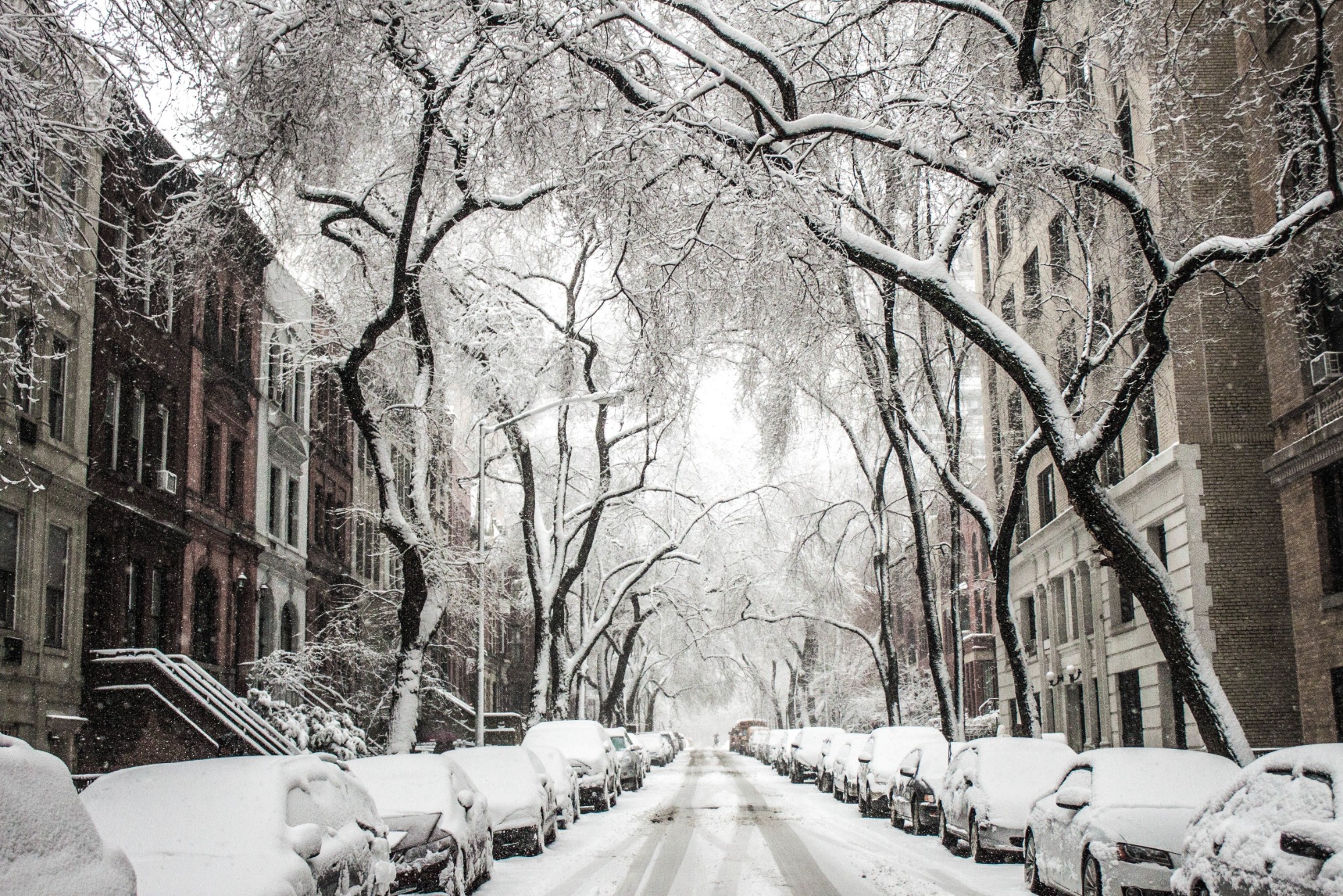 The Polar Vortex is Coming!