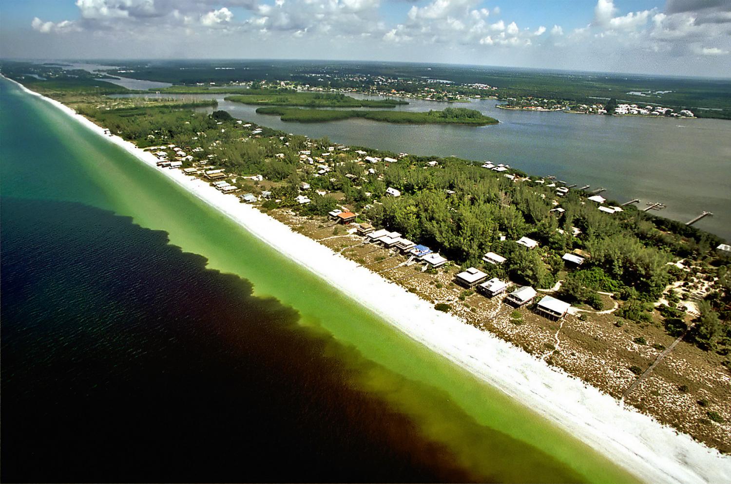 Hurricanes and Red Tide