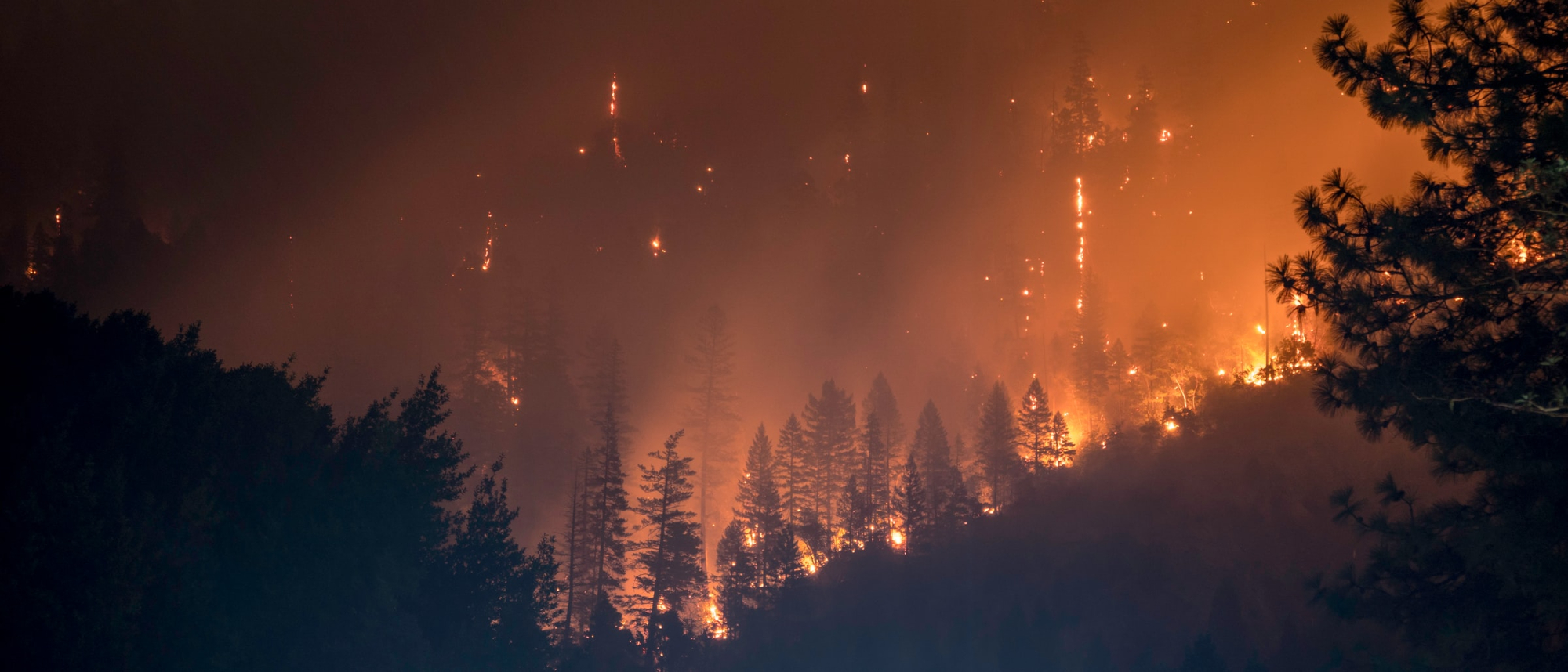 2021- A Summer of Extreme Heat and Wildfires