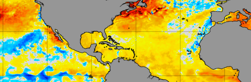 8-14-2021 sea surface temperature anomalies
