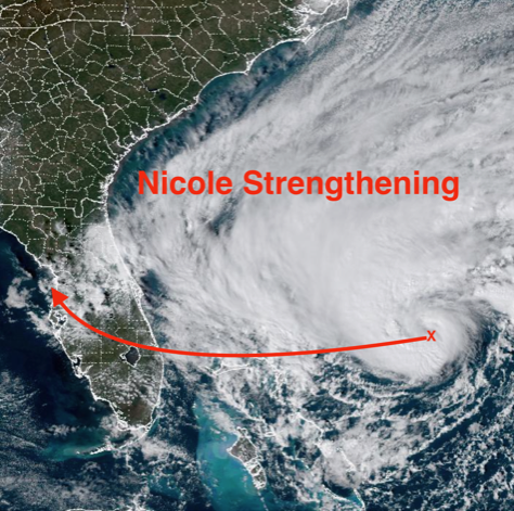 Nicole 11-8-2022