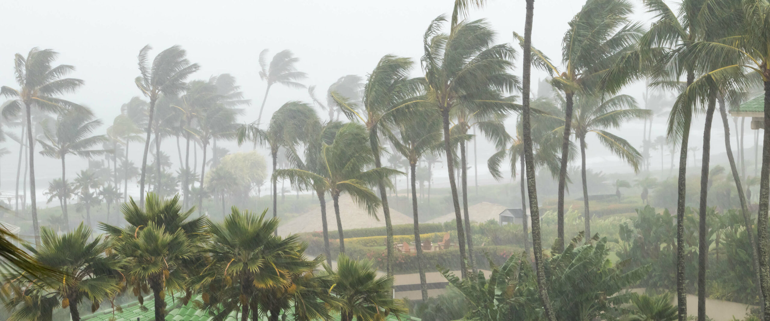 Tropical Storm Helene is gradually forming