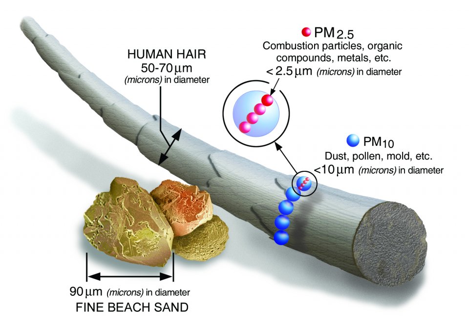 scales of particulant matter