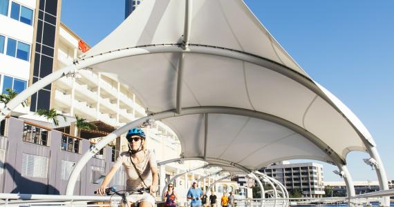 Suncoast heat stress hits a new ceiling as record days collide with warmer nights